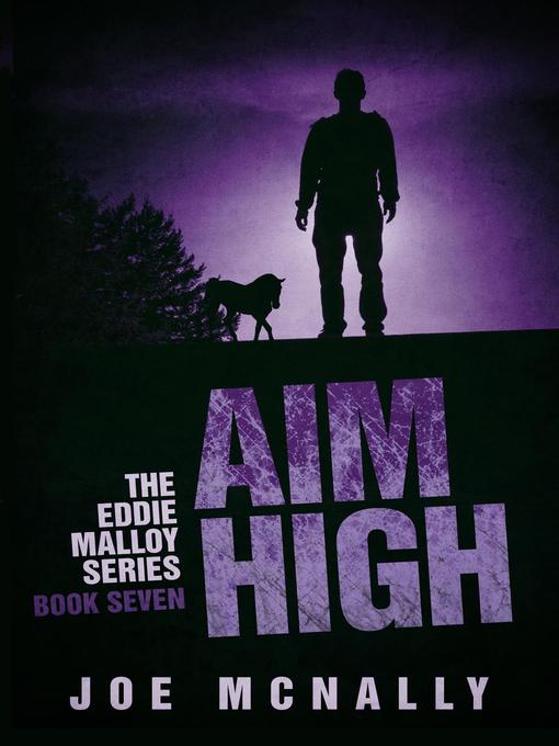 Title details for Aim High by joe mcnally - Available